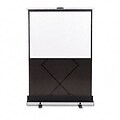Euro Portable Cinema Screen with Black Carrying Case, 60