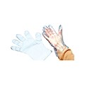 Disposable Gloves, Bag of 100