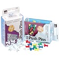 Charles Leonard® Push Pins; Clear, 100/Box