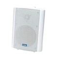 TIC® ASP60 Patio Speaker System; White