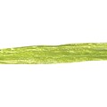 Shamrock Wraphia® 100 yds. Matte Rayon Ribbon; Chartreuse, Roll