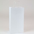 Shamrock 6 1/2 x 3 1/2 x 12 3/8 Small Double Bottle Puma Kraft Shopping Bags; White, 250/Carton