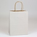 Shamrock 8x4 3/4x10 1/2 Shadow Stripe Kraft Paper Chimp Shopping Bags; Picket Fence Gray, 250/CT