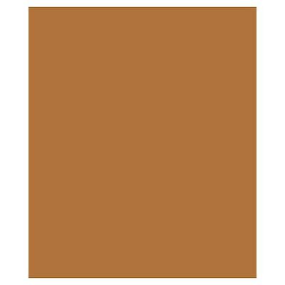Bags & Bows® 20 x 30 Metallic Tissue Papers, 200/Pack