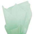 20 x 30 Solid Tissue Paper, Cool Mint (11-01-37)