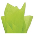 Bags & Bows 20 x 30 Solid Tissue Paper, Citrus Green (11-01-58)