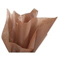 20 x 30 Solid Tissue Paper, Raw Sienna (11-01-69)