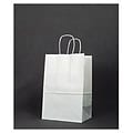 Bags & Bows® 8 3/4 x 6 x 13 Debbie Paper Shoppers, 250/Pack