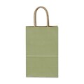 Paper 8.25H x 5.25W x 3.5D Varnish Shopping Bags, Sage, 250/Pack (15-050309-6)