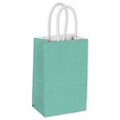 Bags & Bows Cotton Candy 3.5 x 5.25 x 8.25 Shopping Bags, Aqua, 250/Carton (15-050309-89)