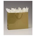 Bags & Bows® 10 x 13 x 5 Matte Laminated Euro-Shoppers, 100/Pack (244M-130510-15)