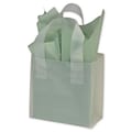 Bags & Bows® 6 1/2 x 3 1/2 x 6 1/2 Frosted High Density Flex Loop Shoppers, Clear, 250/Pack