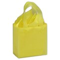 Bags & Bows® 6 1/2 x 3 1/2 x 6 1/2 Frosted High Density Shoppers, 250/Pack