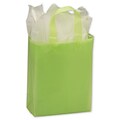 Bags & Bows® 8 x 4 x 10 Frosted High Density Shoppers, 250/Pack