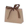 Bags & Bows® 4 1/2 x 2 x 3 3/4 Gloss Purse Style Gift Card Holders, 100/Pack