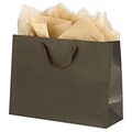Bags & Bows® 12 x 16 x 6 Manhattan Eco Euro-Shoppers, 100/Pack (5844-0315)