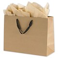 Bags & Bows® 12 x 16 x 6 Manhattan Eco Euro-Shoppers, 100/Pack (5844-8515)