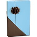 Bags & Bows® 24 x 417 Matte H2O Reversible Gift Wrap, Dark Brown/Light Blue, RL