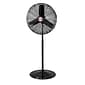 Lasko Industrial Grade 81" 1-Speed Oscillating Pedestal Fan, Black (3135)