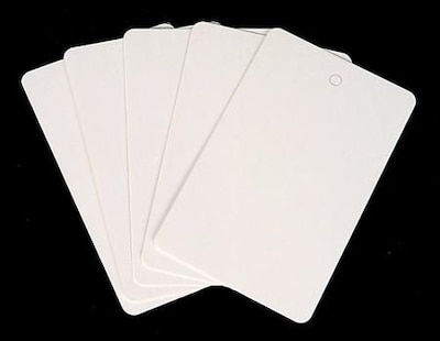 NAHANCO 1 3/4 x 2 7/8 Blank Price Tag, White, 250/Pack