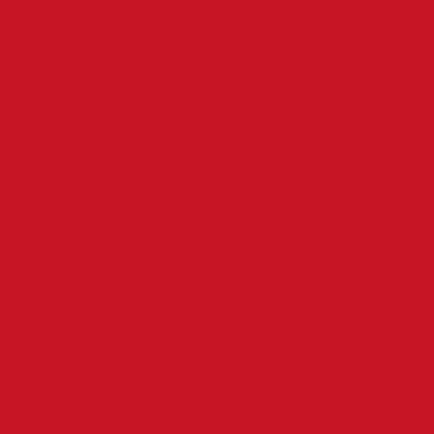 Shamrock 24W Christmas Gift Wrap, Red