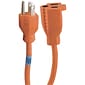 GE 25' 1-Outlet Indoor/Outdoor Extension Cord, Orange