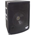Pyle® PADH1079 2 Way Professional Speaker Cabinet