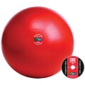 Gofit GF-65PRO Professional Stability 65 Cm Ball And Core Performance Training DVD; Red
