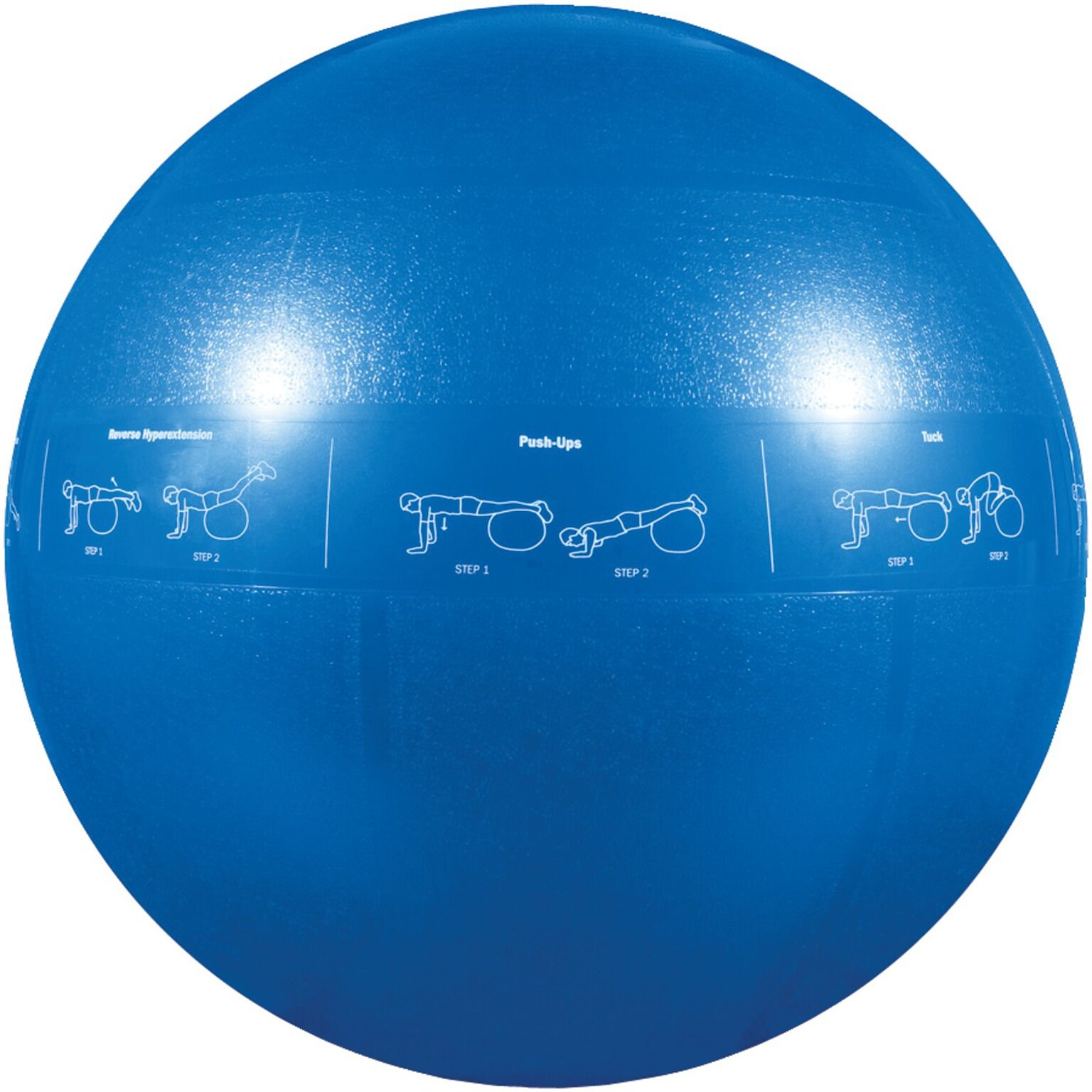 Gofit GF-55PRO Professional Stability 55 Cm Ball And Core Performance Training DVD; Dark Red