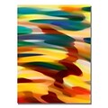 Trademark Fine Art Amy Vangsgard Color Fury Canvas Art 18x24 Inches