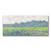 Trademark Fine Art Claude Monet Field of Yellow Irises at Giverny Canvas Art 14x32 Inches