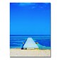 Trademark Fine Art Preston 'Beach-Pier' Canvas Art 24x32 Inches