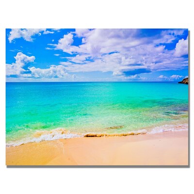 Trademark Fine Art Preston Maho Beach Canvas Art 24x32 Inches