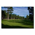 Trademark Fine Art Afternoon on the Green Canvas Golf Art  30x47 Inches