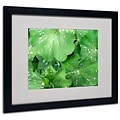 Kathie McCurdy Water Droplets Matted Framed Art - 11x14 Inches - Wood Frame