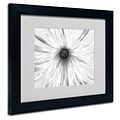 Trademark Fine Art Kathie McCurdy White Garden Matted Art Black Frame 11x14 Inches