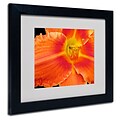 Trademark Fine Art Kathie McCurdy Orange Day Lily Matted Art Black Frame 16x20 Inches
