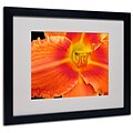 Kathie McCurdy Orange Day Lily Matted Framed Art - 11x14 Inches - Wood Frame