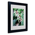 Trademark Fine Art Kathie McCurdy Orchids II Matted Art Black Frame 16x20 Inches