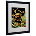 Kathie McCurdy Tropical Paradise Matted Framed Art - 11x14 Inches - Wood Frame