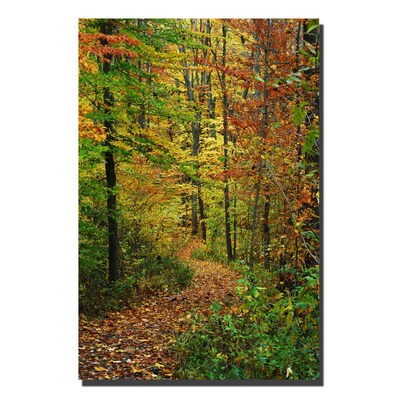 Trademark Fine Art Kurt Shaffer Fall Trail Canvas Art 14x19 Inches