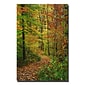 Trademark Fine Art Kurt Shaffer 'Fall Trail' Canvas Art 14x19 Inches