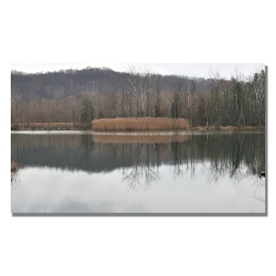 Trademark Fine Art Kurt Shaffer Quiet Winter Day Canvas Art 14x24 Inches