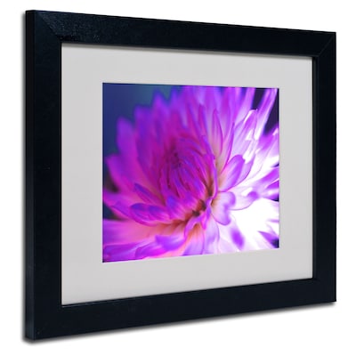 Trademark Fine Art Kathy Yates Mod Dahlia Matted Art Black Frame 11x14 Inches