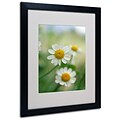 Kathy Yates Chamomile Matted Framed Art - 11x14 Inches - Wood Frame