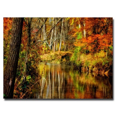 Trademark Fine Art Lois Bryan Bobs Creek Canvas Art 16x24 Inches