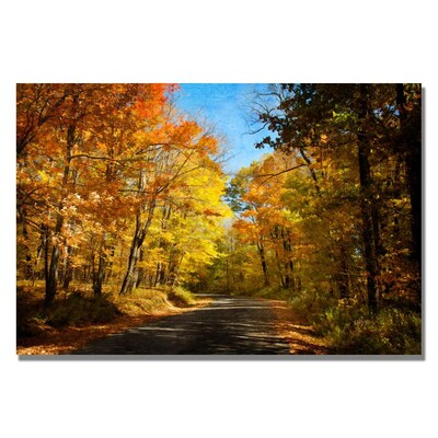 Trademark Fine Art Lois Bryan Fall Walkway Canvas Art 16x24 Inches