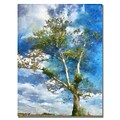 Trademark Fine Art Lois Bryan The Tree Stands Alone Canvas Art 30x47 Inches