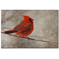 Trademark Fine Art Lois Bryan Cardinal in Winter Canvas Art 14x19 Inches