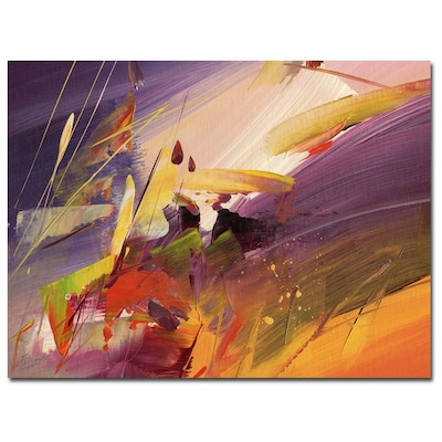Trademark Fine Art Ricardo Tapia Midnight Canvas Art 35x47 Inches